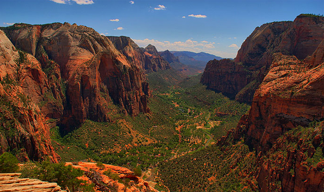 Running Trip in Zion NP