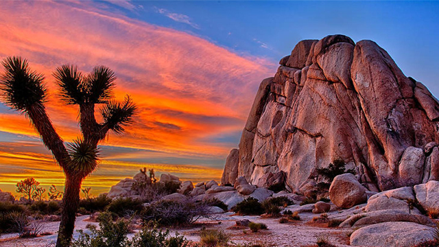 Climbing Trip in Joshua Tree NP