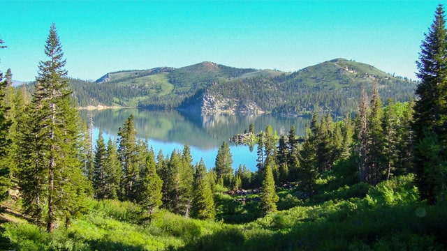 Tahoe Rim Trail Endurance Runs