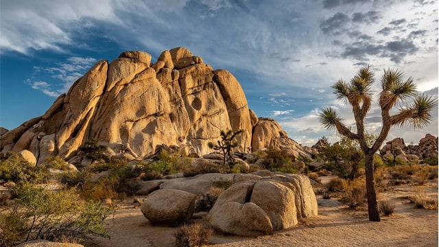 Jushua Tree Climbing Trip
